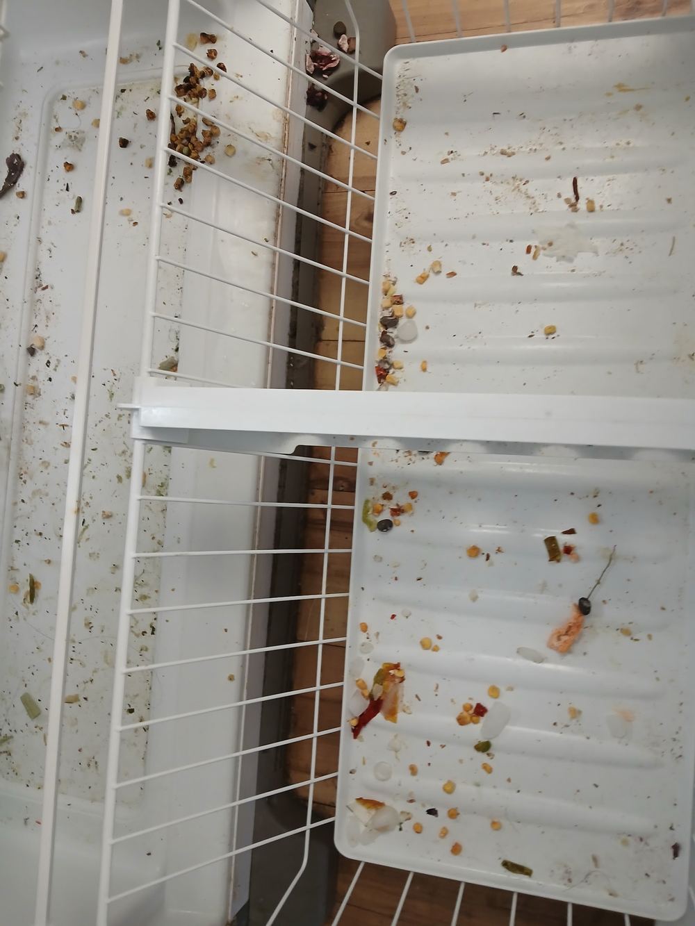 Refrigerator interior before a deep cleaning in San Jose